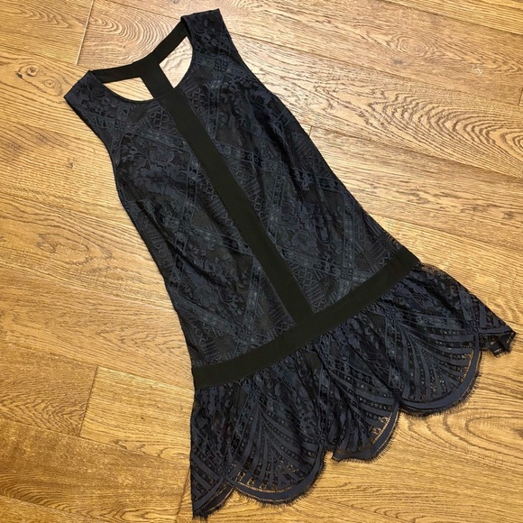 Twelfth Street by Cynthia Vincent lace dress - Picture 2 of 8